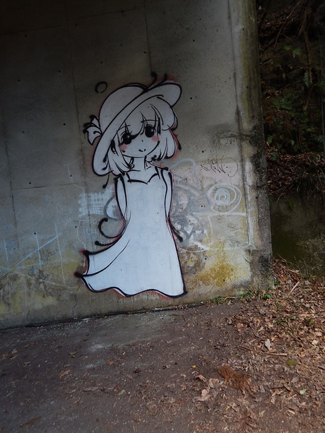 DSCN2551