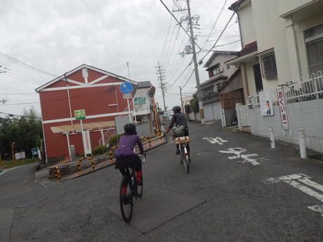 DSCN5052