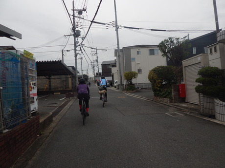 DSCN5031