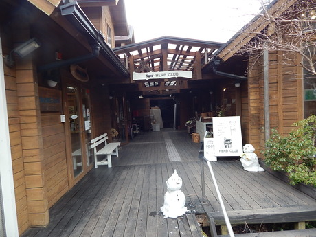 DSCN5901