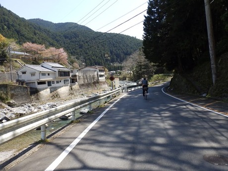 s-P4130132higashiyo