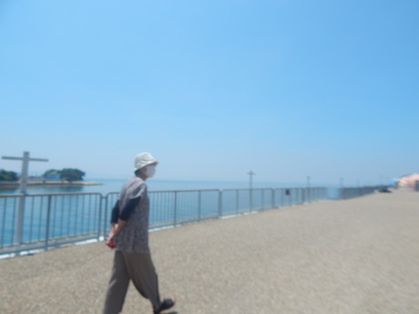 DSCN8459