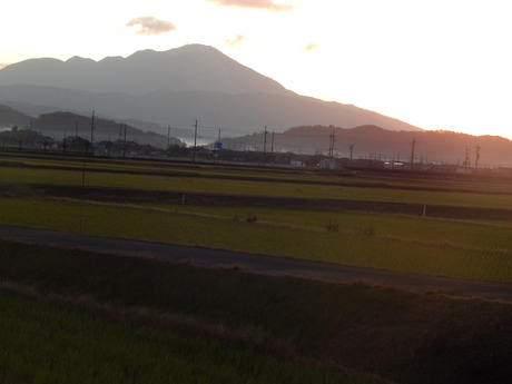 DSCN6518