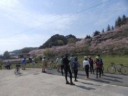 s-P4020042katsuragi
