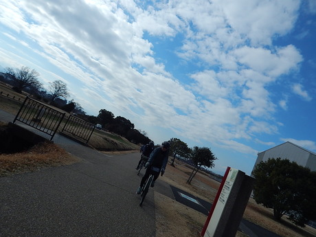 DSCN6774