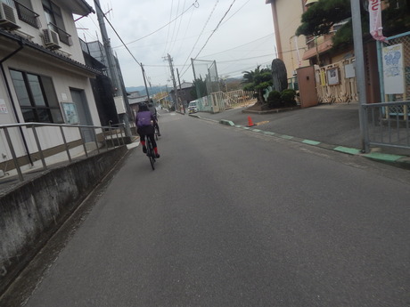 DSCN5081