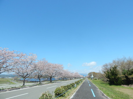 DSCN6599