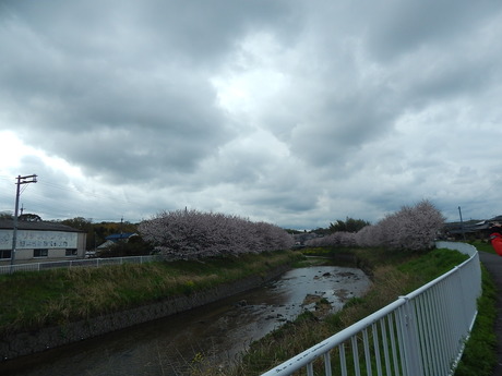 DSCN6066