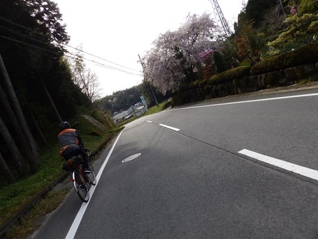 s-P4130466higashiyo