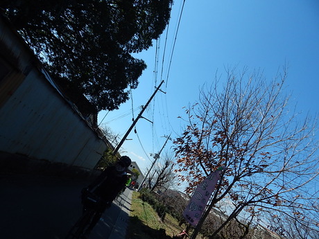 DSCN6829