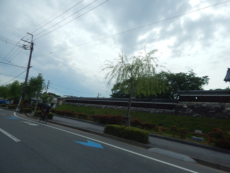 DSCN7454