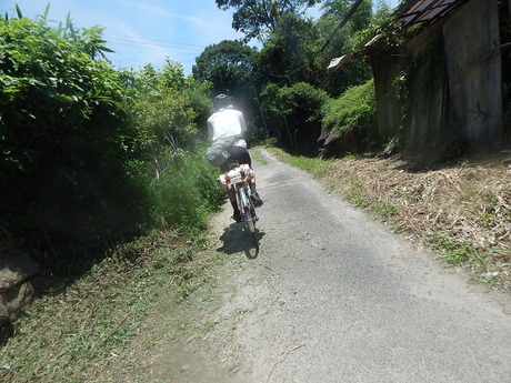 DSCN8696