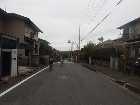 DSCN5061