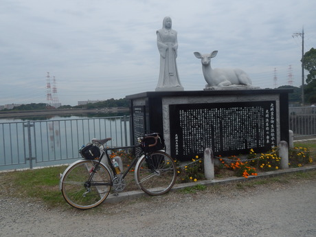 DSCN5146