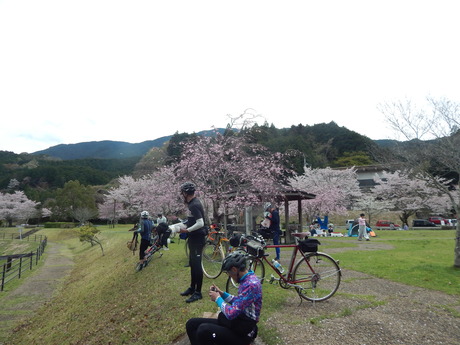 DSCN6262