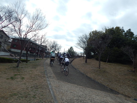 DSCN3100