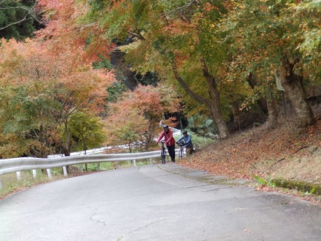 s-PB110139kushi