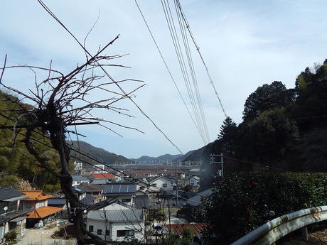 DSCN3808
