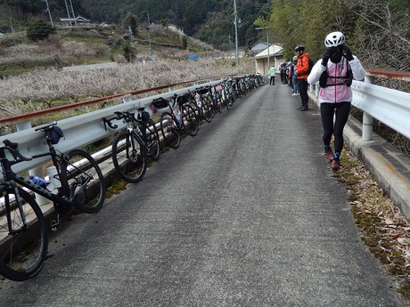 DSCN4509