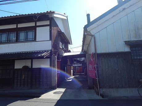 DSCN6865