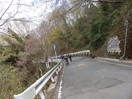 s-P4070216heguri