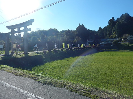 DSCN5608