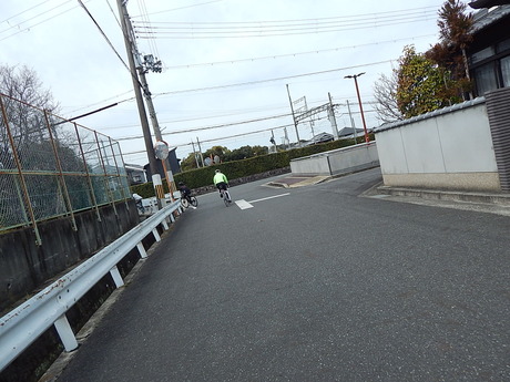 DSCN6619