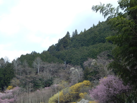 DSCN7792