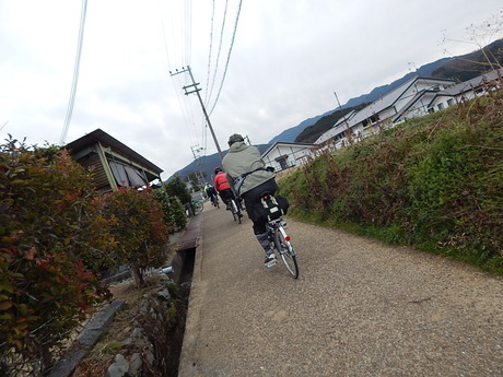 DSCN6690