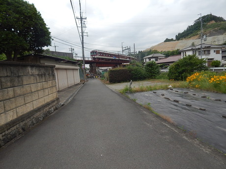 DSCN7074