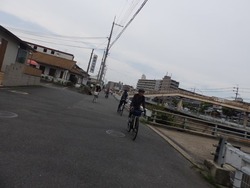 s-P6180148houkyu