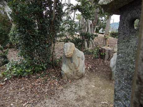 DSCN6674