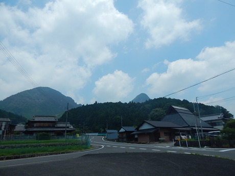DSCN8993