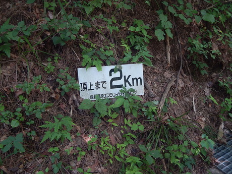DSCN0237