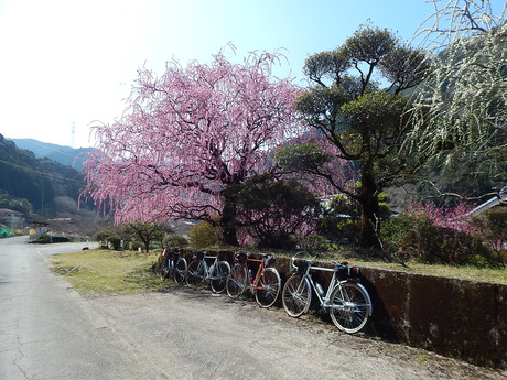 DSCN7190