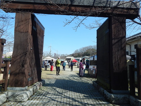 DSCN4004