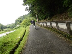 s-P6180129houkyu