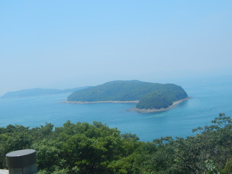 DSCN8454