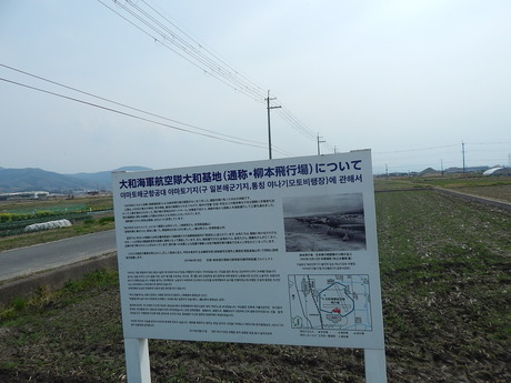 DSCN5929