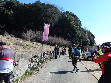 DSCN6844