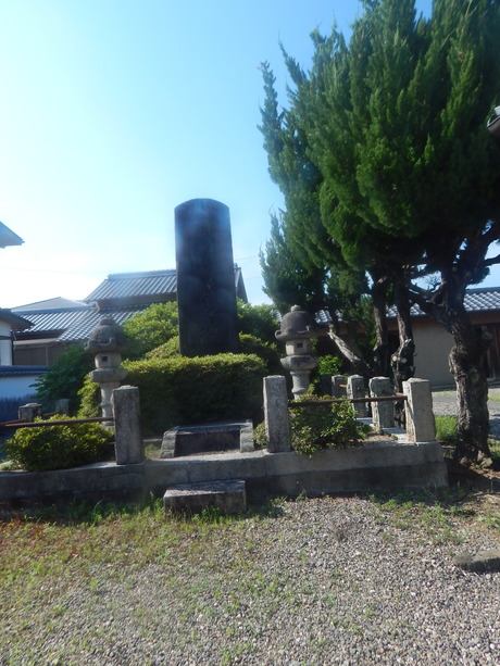 DSCN8508