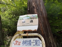 s-P73009900730