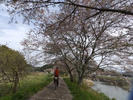 s-P4130437higashiyo