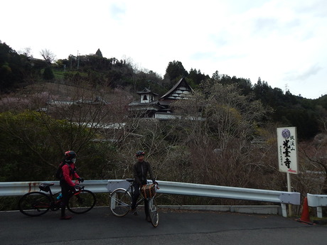 DSCN7961