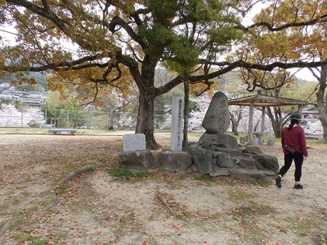 s-P4070039heguri