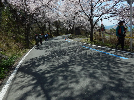 DSCN8847
