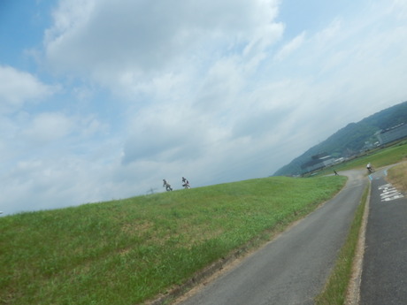 DSCN8167