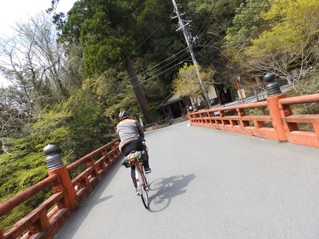 s-P4130213higashiyo