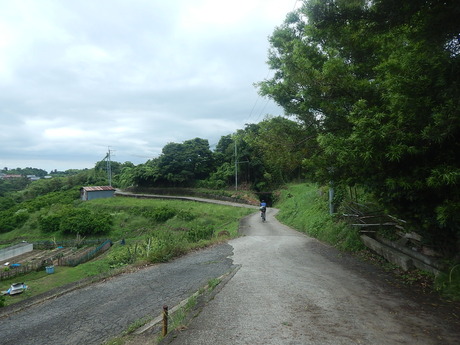 DSCN8116
