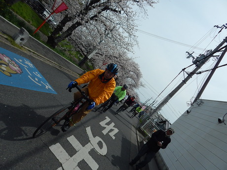 DSCN8509